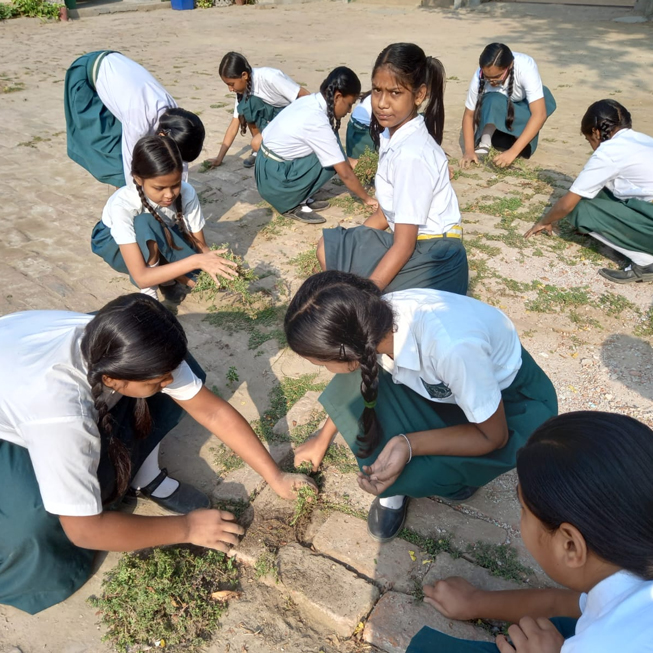 Hartmann Girls' High School in Digha Ghat, Patna